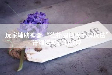 玩家辅助神器:“德扑圈透视手牌玩法”详细透视辅助教程