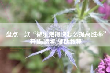 盘点一款“微乐跑得快怎么提高胜率”开挂(透视)辅助教程
