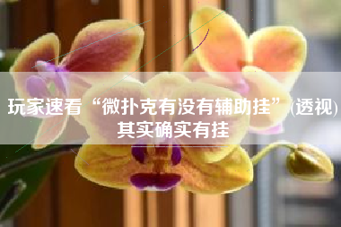 玩家速看“微扑克有没有辅助挂”(透视)其实确实有挂