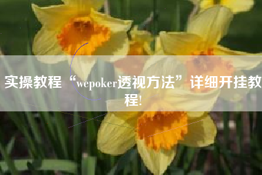 实操教程“wepoker透视方法	”详细开挂教程!