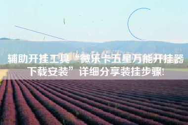 辅助开挂工具“微乐卡五星万能开挂器下载安装”详细分享装挂步骤!