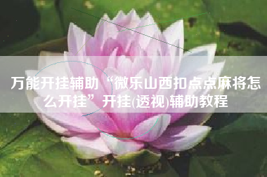 万能开挂辅助“微乐山西扣点点麻将怎么开挂	”开挂(透视)辅助教程