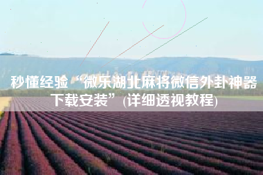 秒懂经验“微乐湖北麻将微信外卦神器下载安装”(详细透视教程)