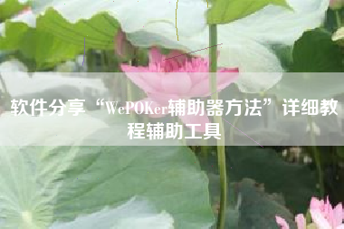 软件分享“WePOKer辅助器方法	”详细教程辅助工具