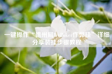 一键操作“德州局WePoker作弊挂”详细分享装挂步骤教程