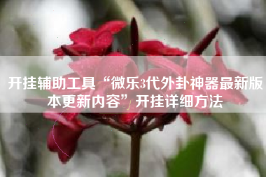 开挂辅助工具“微乐3代外卦神器最新版本更新内容”开挂详细方法