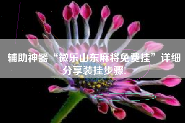 辅助神器“微乐山东麻将免费挂”详细分享装挂步骤!