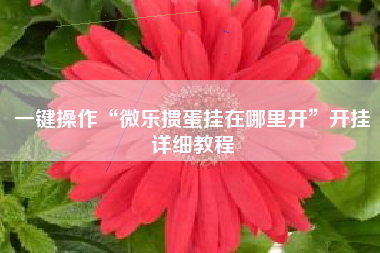 一键操作“微乐掼蛋挂在哪里开”开挂详细教程