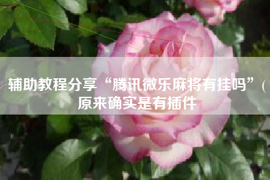 辅助教程分享“腾讯微乐麻将有挂吗”(原来确实是有插件