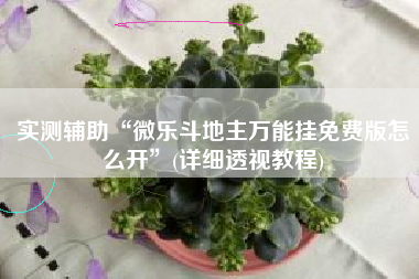 实测辅助“微乐斗地主万能挂免费版怎么开”(详细透视教程)