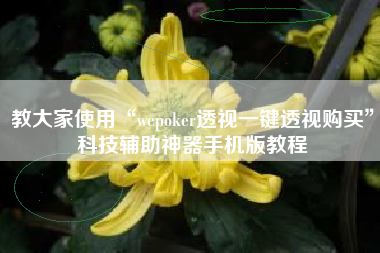 教大家使用“wepoker透视一键透视购买”科技辅助神器手机版教程