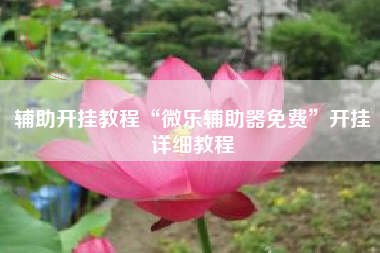 辅助开挂教程“微乐辅助器免费”开挂详细教程