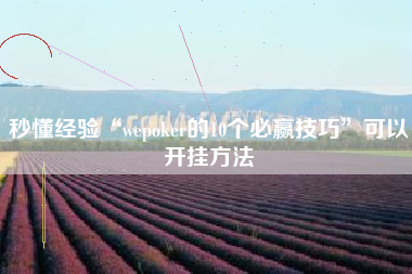 秒懂经验“wepoker的10个必赢技巧”可以开挂方法