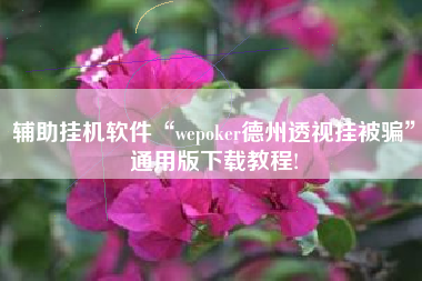 辅助挂机软件“wepoker德州透视挂被骗”通用版下载教程!