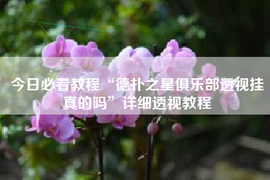 今日必看教程“德扑之星俱乐部透视挂真的吗”详细透视教程