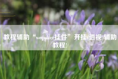 教程辅助“wepoker挂件	”开挂(透视)辅助教程!