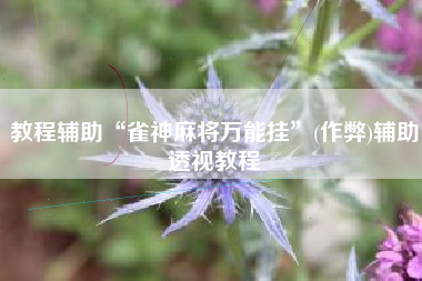 教程辅助“雀神麻将万能挂”(作弊)辅助透视教程