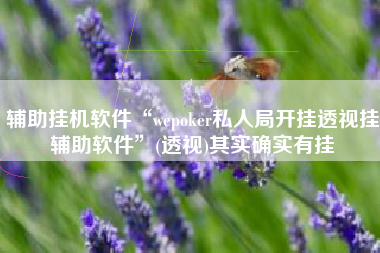 辅助挂机软件“wepoker私人局开挂透视挂辅助软件”(透视)其实确实有挂