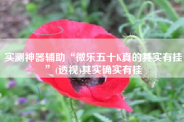 实测神器辅助“微乐五十K真的其实有挂”(透视)其实确实有挂