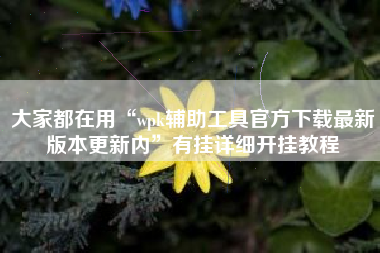 大家都在用“wpk辅助工具官方下载最新版本更新内”有挂详细开挂教程