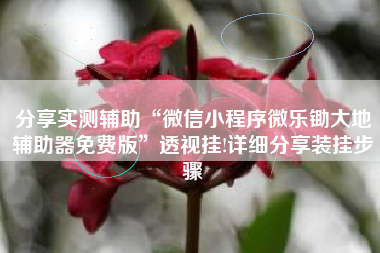 分享实测辅助“微信小程序微乐锄大地辅助器免费版”透视挂!详细分享装挂步骤