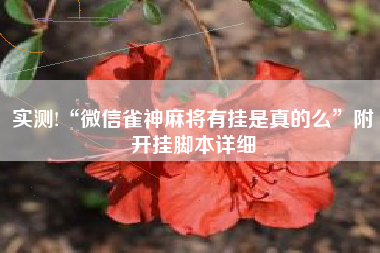 实测!“微信雀神麻将有挂是真的么”附开挂脚本详细