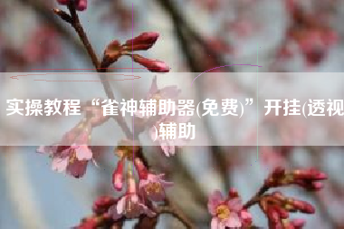 实操教程“雀神辅助器(免费)”开挂(透视)辅助