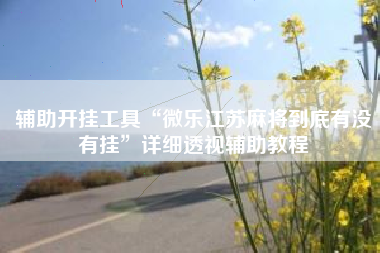 辅助开挂工具“微乐江苏麻将到底有没有挂”详细透视辅助教程