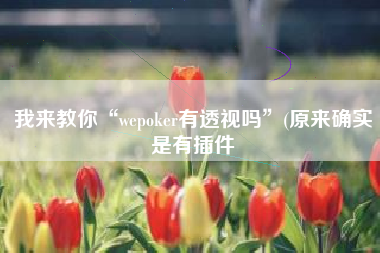 我来教你“wepoker有透视吗	”(原来确实是有插件