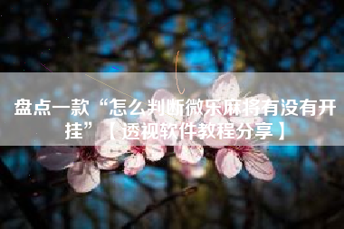 盘点一款“怎么判断微乐麻将有没有开挂	”【透视软件教程分享】