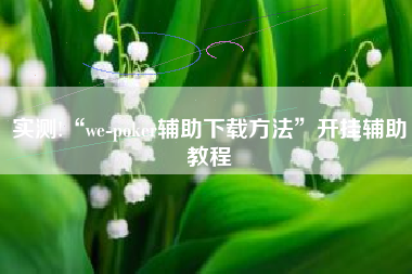 实测!“we-poker辅助下载方法”开挂辅助教程