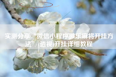 实测分享“微信小程序微乐麻将开挂方法”(透视)开挂详细教程