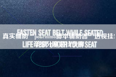 真实辅助“pokemmo脚本辅助器”透视挂!详细分享装挂步骤