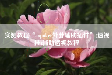 实测教程“aapoker外卦辅助插件”(透视挂)辅助透视教程