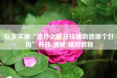 玩家实测“德扑之星开挂辅助器哪个好用”开挂(透视)辅助教程