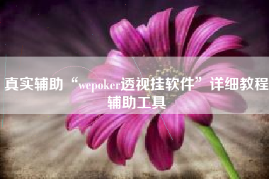 真实辅助“wepoker透视挂软件	”详细教程辅助工具