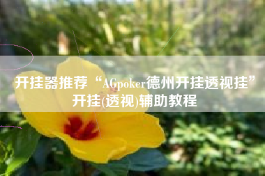 开挂器推荐“AGpoker德州开挂透视挂”开挂(透视)辅助教程