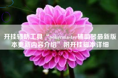 开挂辅助工具“pokermaster辅助器最新版本更新内容介绍	”附开挂脚本详细