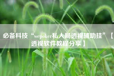 必备科技“wepoker私人局透视辅助挂”【透视软件教程分享】
