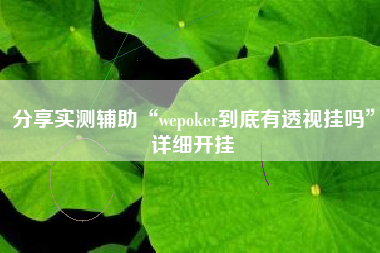 分享实测辅助“wepoker到底有透视挂吗	”详细开挂