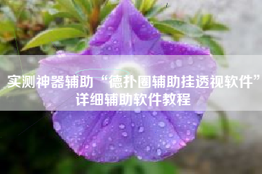 实测神器辅助“德扑圈辅助挂透视软件”详细辅助软件教程