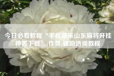 今日必看教程“手机微乐山东麻将开挂神器下载	”(作弊)辅助透视教程