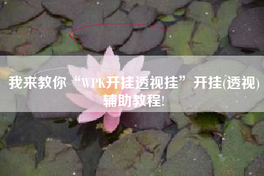 我来教你“WPK开挂透视挂	”开挂(透视)辅助教程!