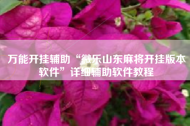 万能开挂辅助“微乐山东麻将开挂版本软件”详细辅助软件教程