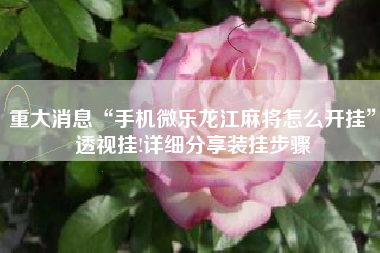 重大消息“手机微乐龙江麻将怎么开挂	”透视挂!详细分享装挂步骤