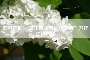 教程辅助!“微乐麻将万能挂安装”开挂详细方法