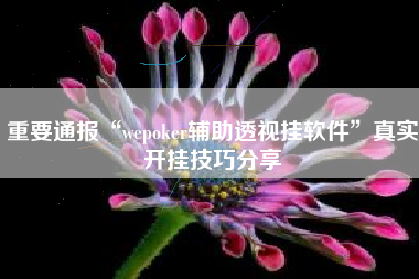 重要通报“wepoker辅助透视挂软件	”真实开挂技巧分享