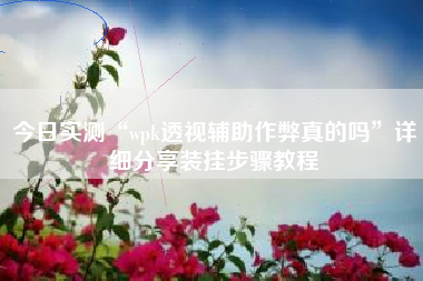 今日实测“wpk透视辅助作弊真的吗”详细分享装挂步骤教程