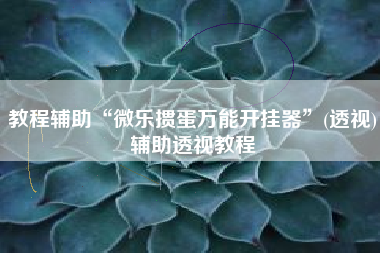 教程辅助“微乐掼蛋万能开挂器”(透视)辅助透视教程