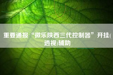 重要通报“微乐陕西三代控制器”开挂(透视)辅助